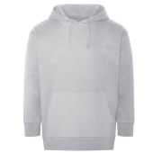 Ecologie Unisex Crater Recycled Hoodie - Heather Grey Size XXL